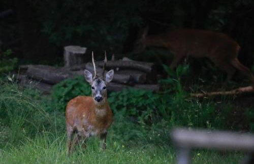 Casa Vacanze Como Brunate - Foto 37