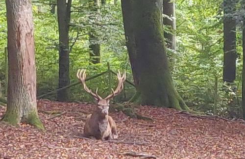 Familiehuis Dolve - Foto 147