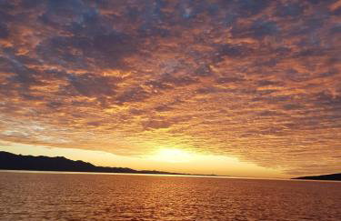 Apartments Latkovic - Photo 50