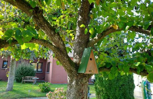 Das kleine, gemütliche Ferienhaus - Foto 10