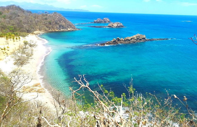 Container w Pool Backyard Parking BBQ Kitchen More in Playa Potrero - Photo 45