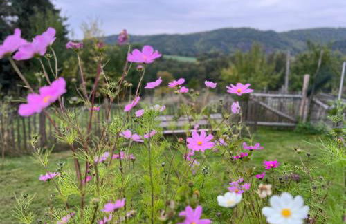 Ferienhaus EifelOne - Panorama - Foto 35