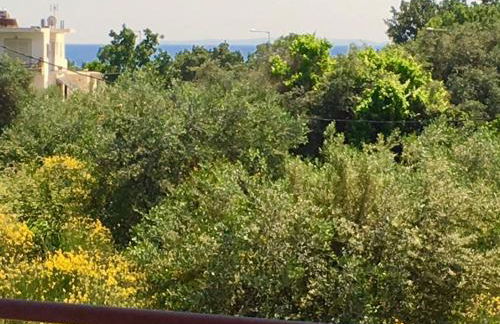 Villa Rena - Foto 28