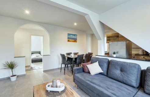 Seepferdchen - Foto 14