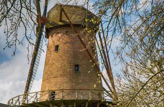 Ferienwohnungen Schoofs - Foto 22