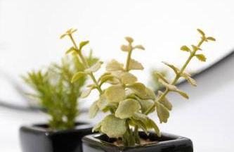 LOFT 55 Domu de tunì - Foto 15