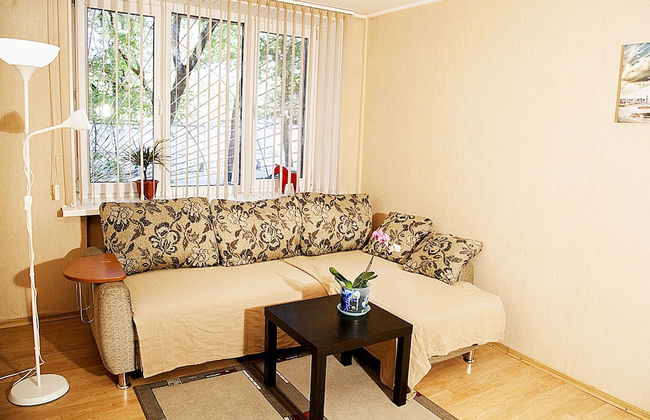 Funny Dolphins Apartments Krasnoselskaya - Foto 3