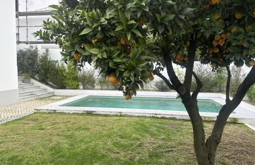 Sunshine Guesthouses in Azeitao and Algarve - Foto 13