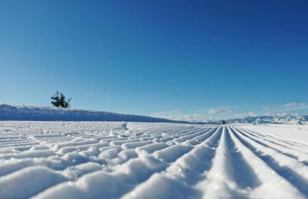 Villa Silvia - Photo 44