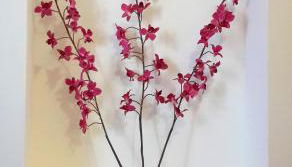 CACERES SOL - Foto 5