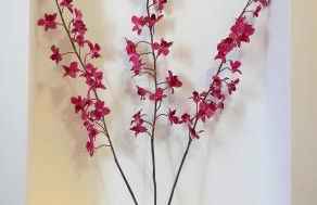 CACERES SOL - Foto 5