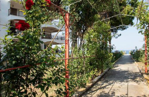 Buena Vista - San Mames - Foto 15