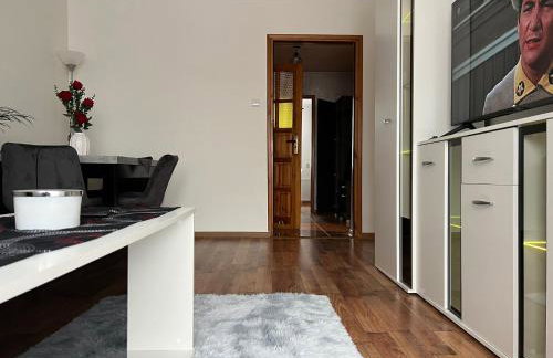 APARTAMENT CENTRUM - Foto 54