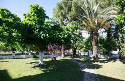 Country House Elaionas - Foto 20