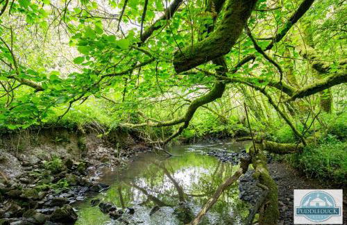 Puddleduck Valley - Dog Friendly - Foto 78