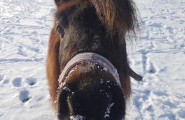 Gästehaus Annemarie - Foto 22