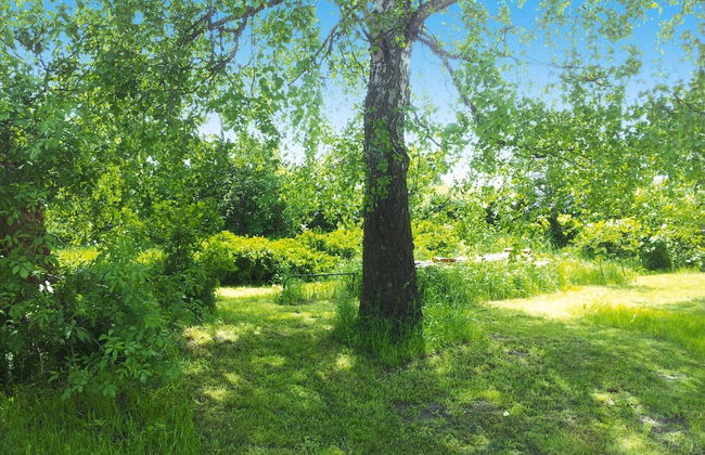 XXL Ferienhaus mit Sauna in Upost - Foto 62