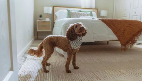 Sage Haven #2 - Foto 2