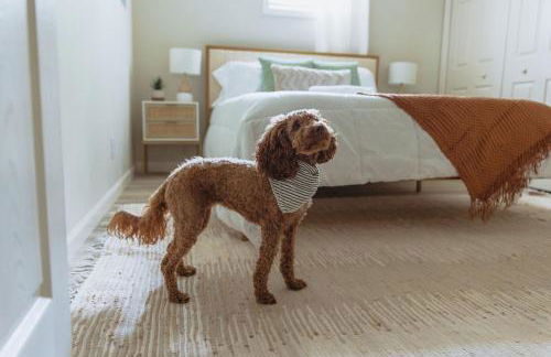 Sage Haven #2 - Foto 2