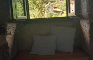 Ninho do Corvo da Urgueira - Foto 19