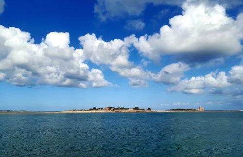 Le Refuge des Chouettes - Foto 29