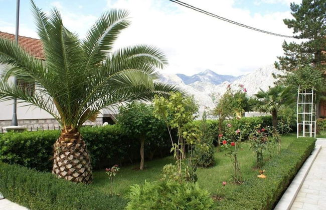 Apartments Radulovic - Foto 30