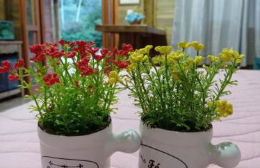 Chalé Girassol 2 - Foto 20