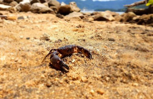 Casa de praia no paraíso de Angra! - Foto 26