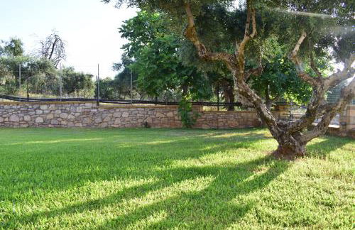 Alexandros Beachfront Apartments near Petalidi with Private Sunbeds & Sea View - Foto 63