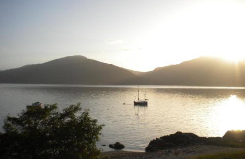 The Green House - Foto 22