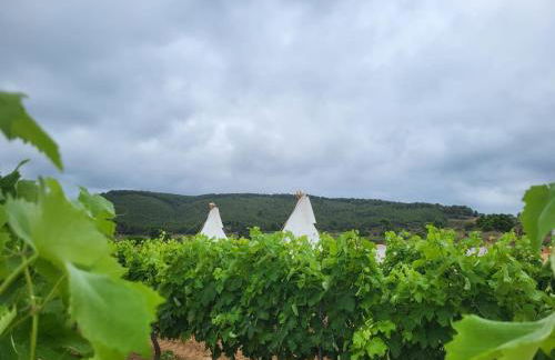 Masía con encanto para parar y desconectar - Foto 64