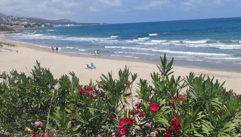 Ferienwohnung mit Privat-Pool - Foto 3