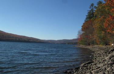 Catskills Aframe, Water View, Goat Sanctuary - Foto 18