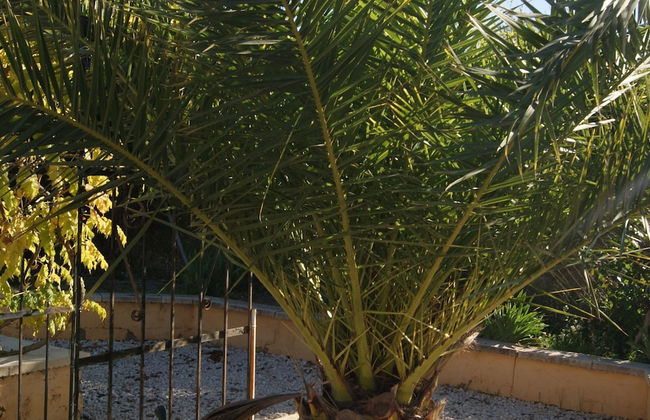 Holiday Home in Finestrat With Sea Views - Foto 25