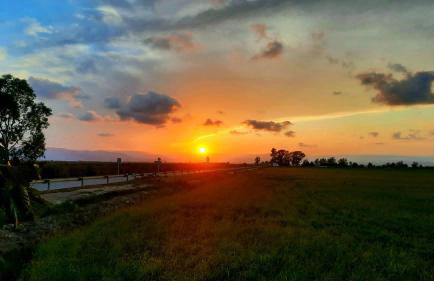 La Calma del Delta - Foto 29