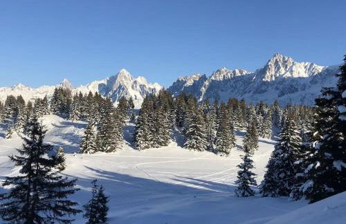 Mountain Cabin - vue montagne - 4 personnes - Foto 23