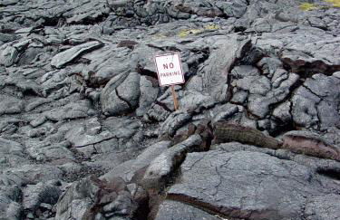 Hale “Hā Hā” - Photo 25