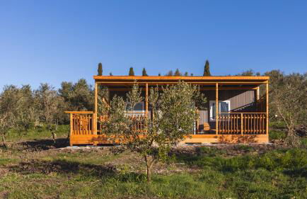 Le Fraine - Agriturismo & Olives Glamping - Foto 68