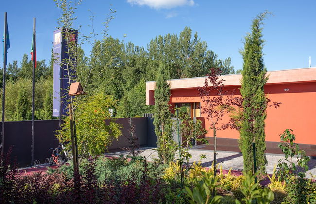 Vale de São Torcato Houses and Wine Bar - Photo 70