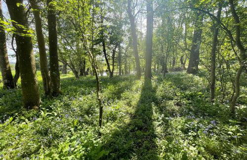 Llanerchydol Hall Suites - Foto 28