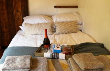 Little Dolwen - Sioned - Photo 2