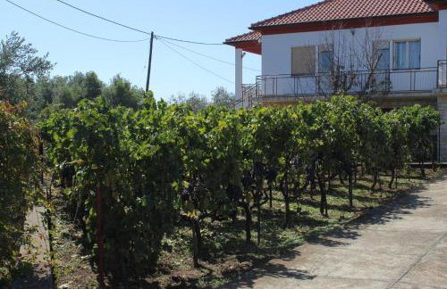 Apartments with a parking space Ugljan - 8404 - Foto 11