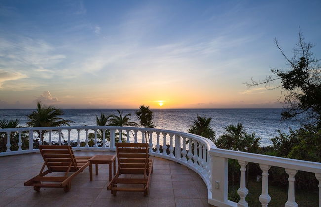 Yellow Bird - Foto 24