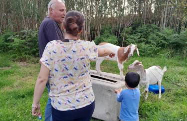 Quinta da Maria - Foto 64