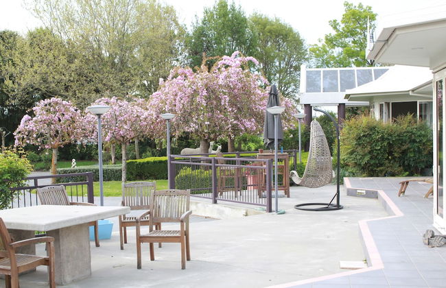 Silverstream Alpaca Farmstay and Tour - Foto 41