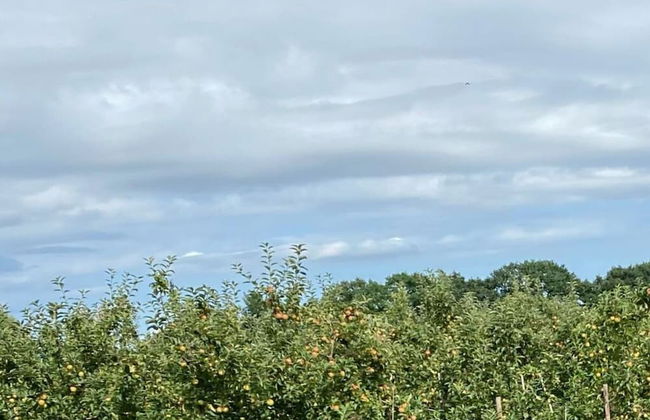 Holiday Apartment Elbe - Foto 11