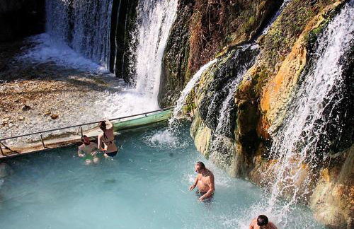 "The plane trees" - Foto 57