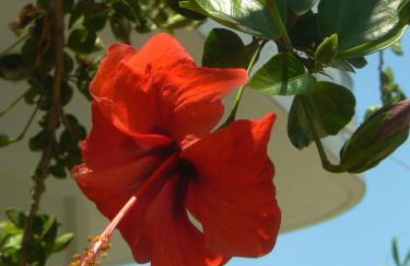 Silvi Mari Apartments - Foto 23