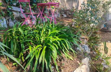 studio la mimosette - Foto 12