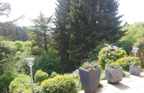 Perlenbachtal - Foto 37